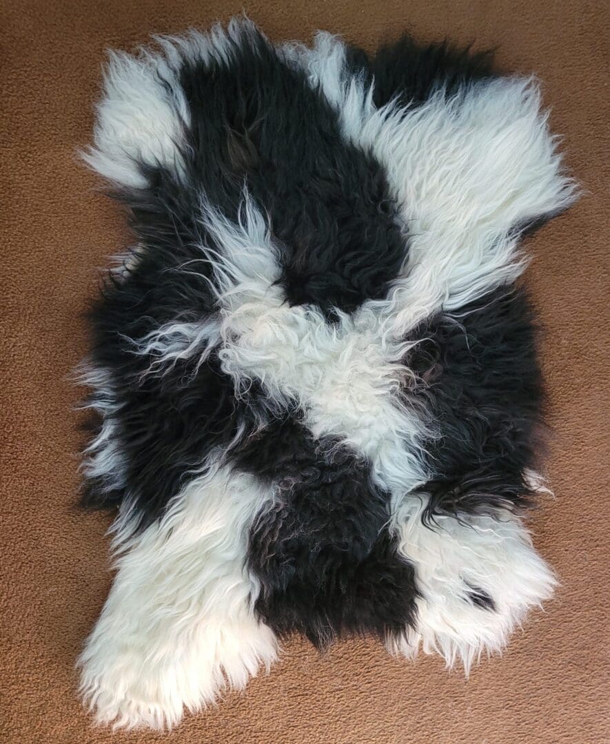 A black and white animal print rug on the floor.