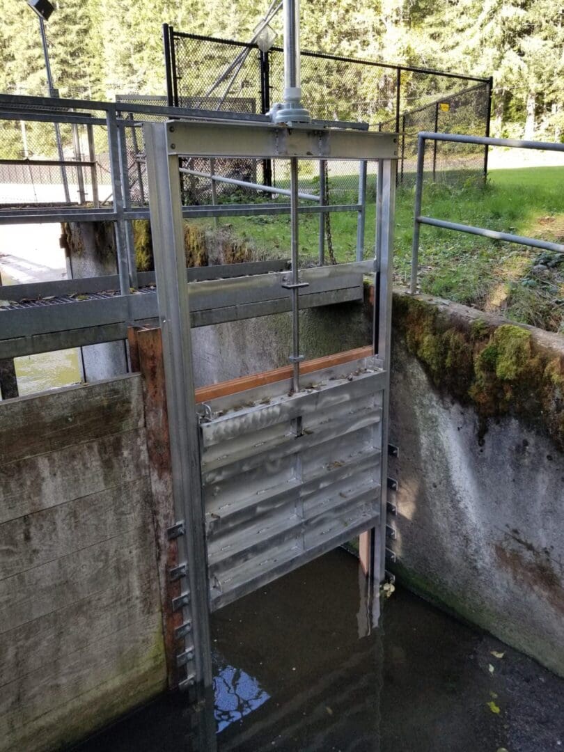 A metal gate in the middle of a water hole.